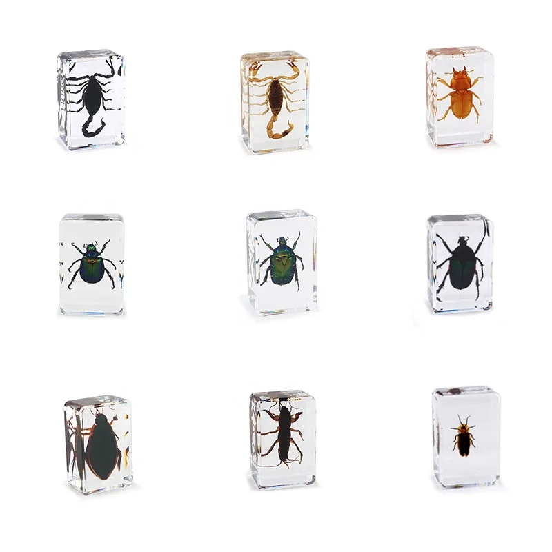 Wholesale product insect resin paperweight spider scorpion key chains holiday gift resin crafts toys kids