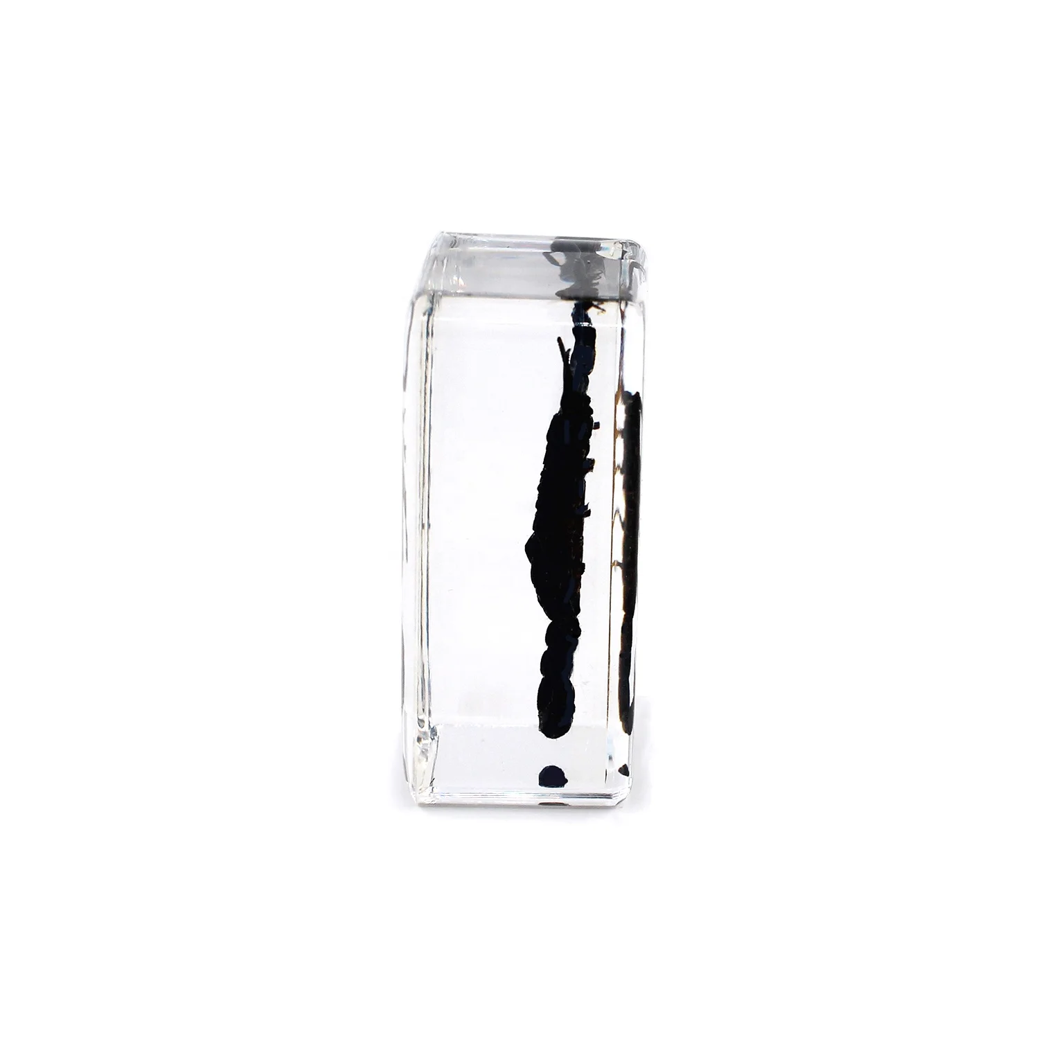 Hot selling scorpion specimen paper weight embedded real scorpion in resin animal ornaments resin crafts