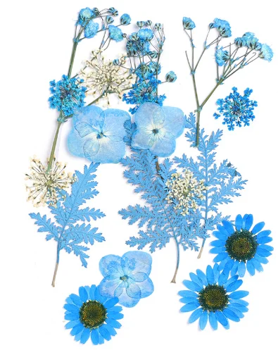 Dry Flower Embossing Material Package Handmade Diy Paper Making Embossed Flower Bookmark Embossed Gypsophila Dried Flower Plant