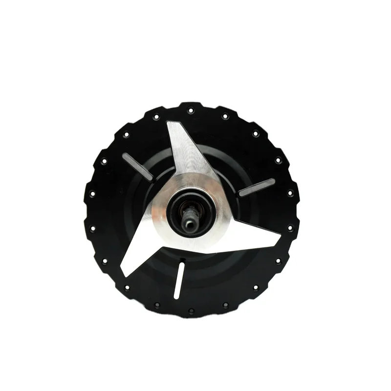 Best sale high torque rear hub motor electric mountain bicycle conversion kit