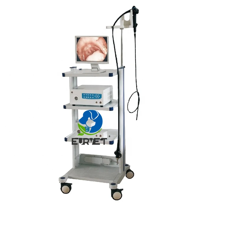 EUR PET High Quality Veterinary Equipment Prime Veterinary Flexible Endoscope Gastroscope Camera For Pet