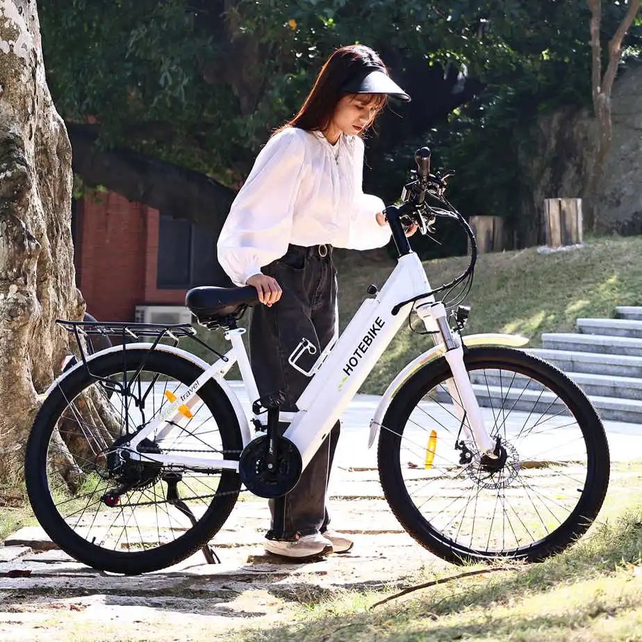 USA EU Warehouse Stock 500w 36v 10.5Ah Battery ebike Hub Motor Electric Mountain Hybrid Bike City Bicycle