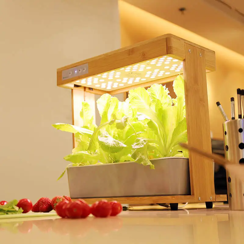 Smart Indoor Kitchen Home Planter Herb Garden Hydroponic System Kit Hydroponic Growth System