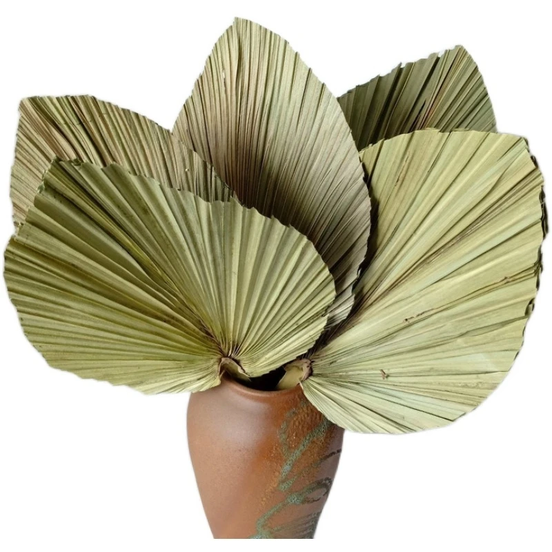 Лидер продаж 2020, натуральные Пальмовые Листья для свадебного декора