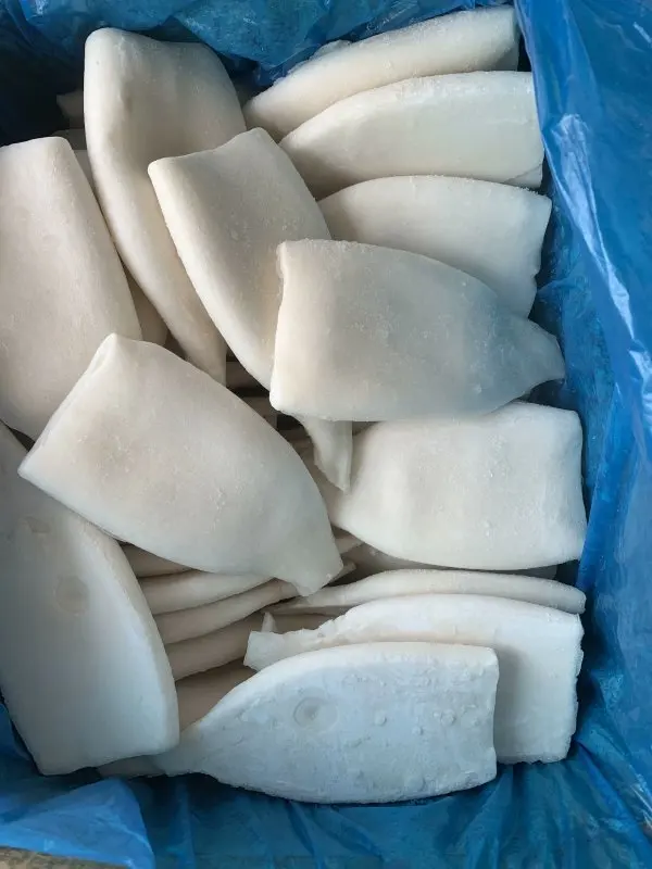 Frozen Squid Tube  U5 U7 U10