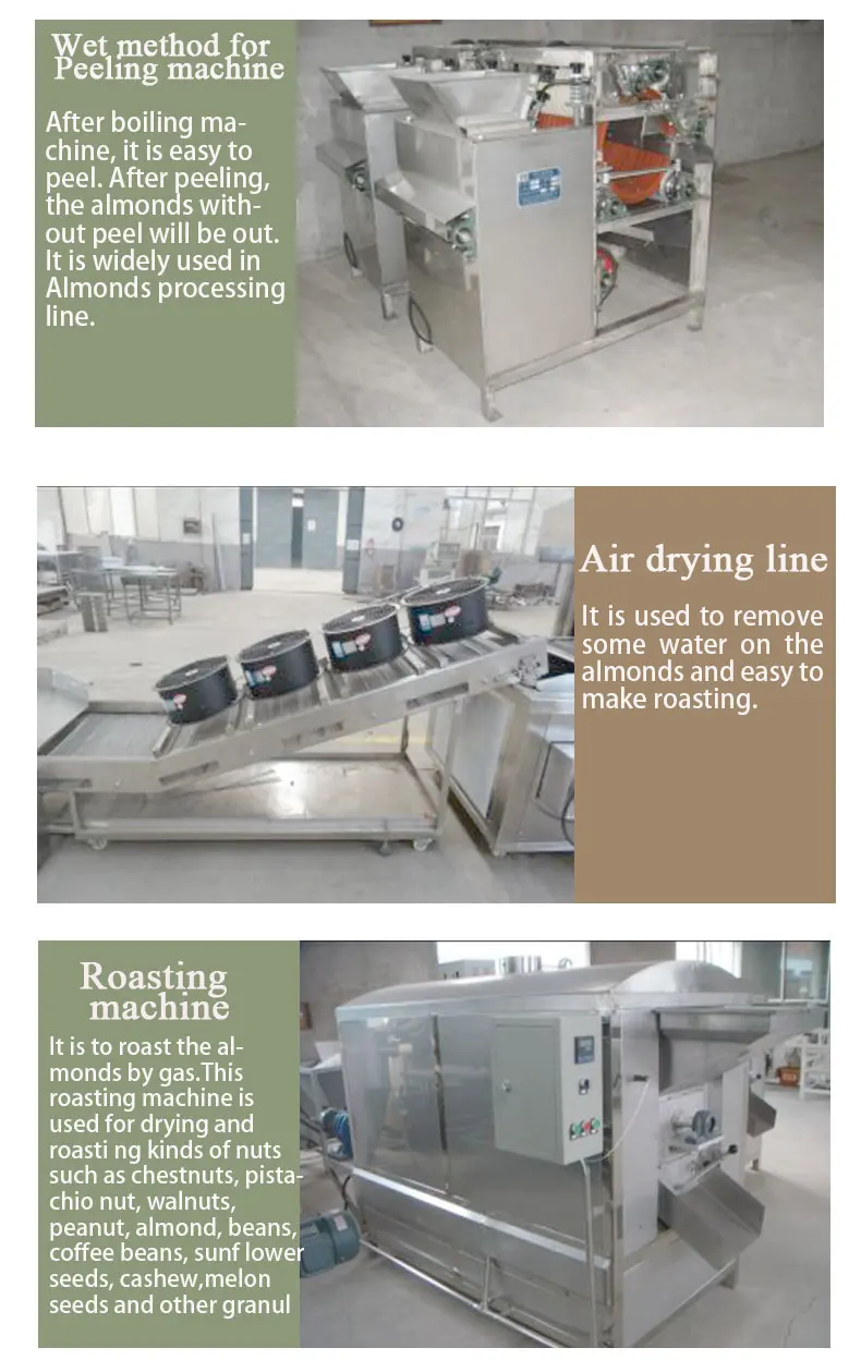Nuts Roasting Production Line Almond Cashew Hazelnut Peanut Pistachio Sunflower Seeds Roasting Machines Line
