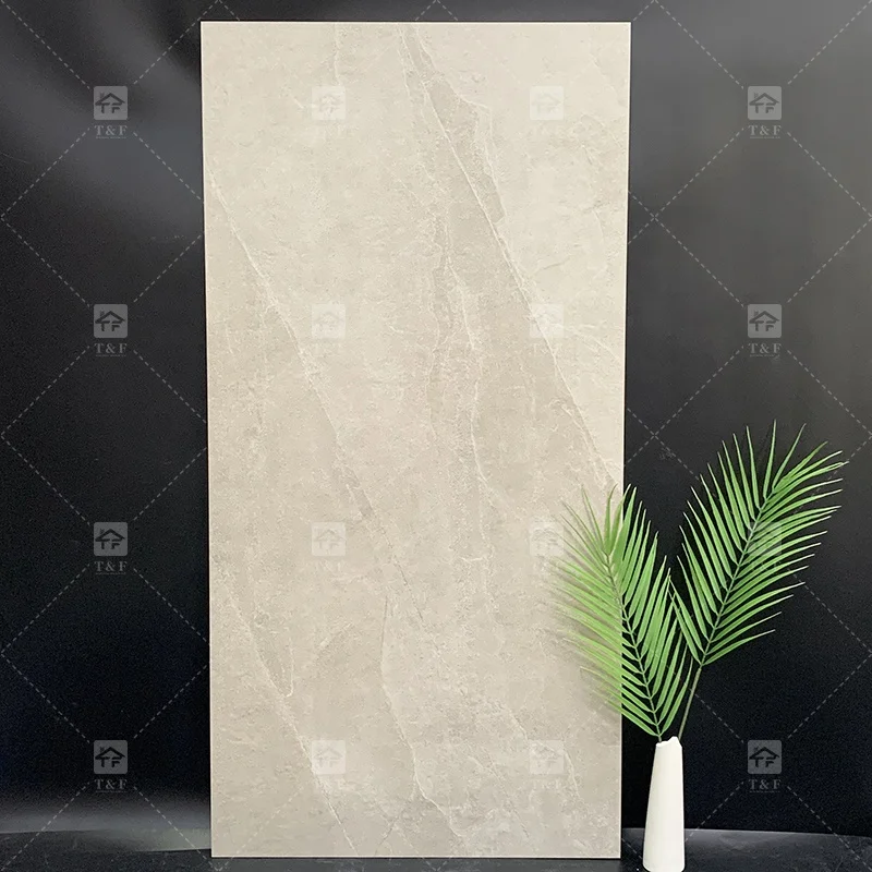 China Foshan 1200 X 600 Non Slip Wear Resistant Outdoor Porcelain Ceramic House Stone Floor Tiles 60x120