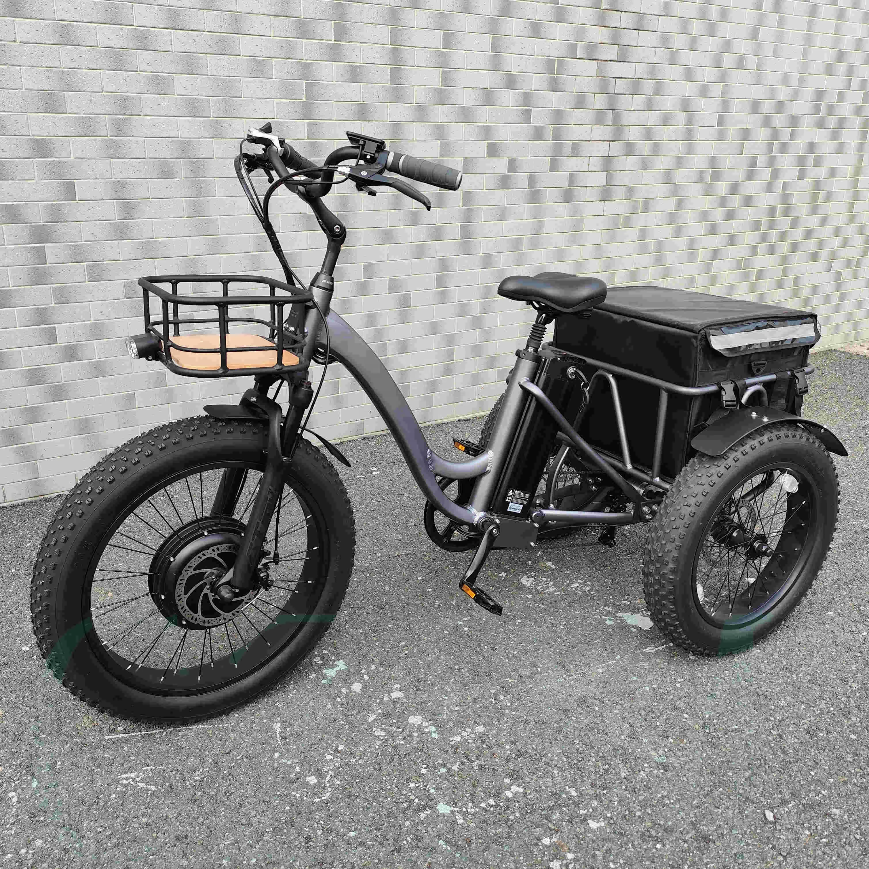 Customized And Comfortable 48V1000W Electric Tri E Tri cycle Tricycle Electric Bike Motorized Tricycles