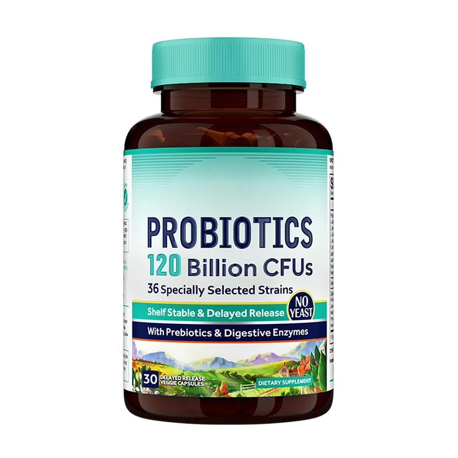 OEM Private Brand Probiotic Digestive Enzyme Capsules 12 Billion CFU Dietary Fiber Supplement for Gut Health