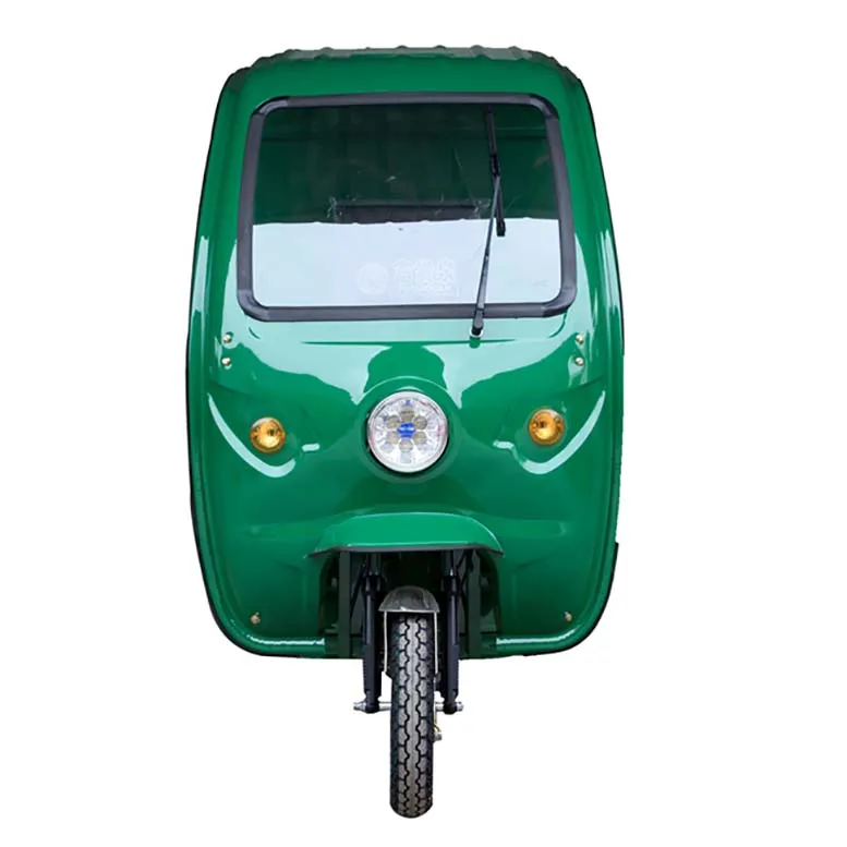 Well-Design 3 Three Wheel Delivery Electric Tricycle Cargo with Cabin
