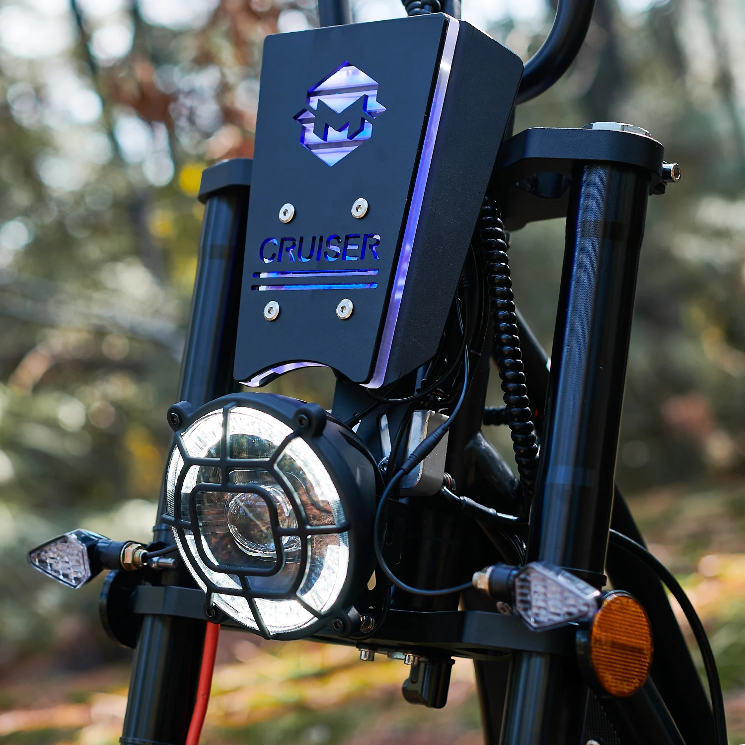 Hot products EEC/COC approved two batteries long range 2 wheel adult electric scooter city coco 2024