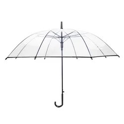 Cheap Plastic Gift Umbrella Custom Auto Open Straight Transparent Umbrella