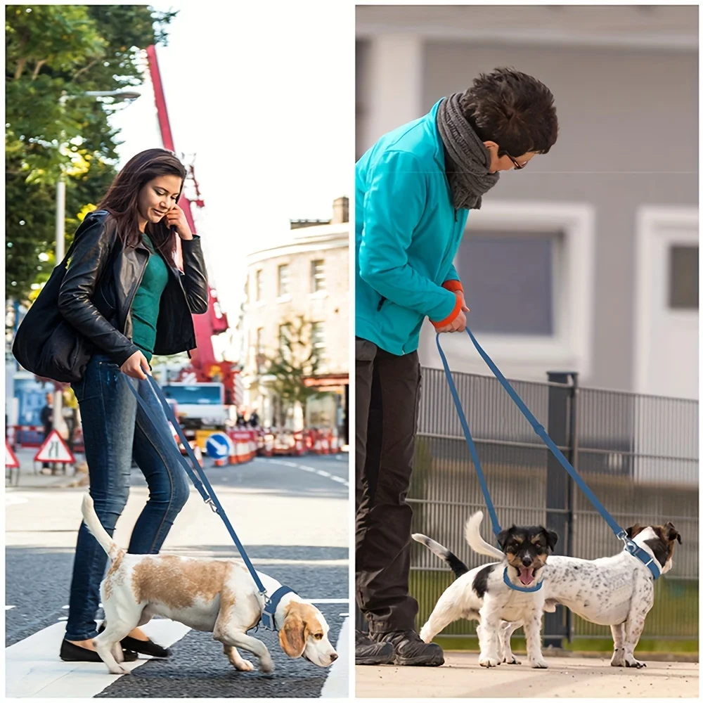 Wholesale Soft Pvc Waterproof Dog Buckle Collar Leash with Name Tag Luxury Fashion Adjustable Dog Collar Lead Set