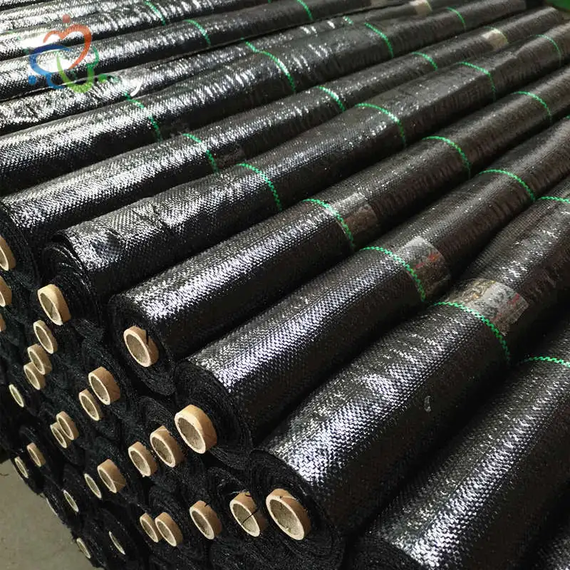 1x50m 2x50m PP Weed Mat from factory Weed Barrier Fabric Landscape Fabric Garden Ground Cover Fabric