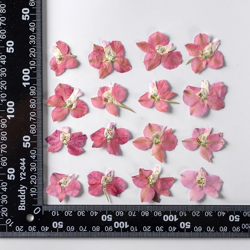12pcs/bag Larkspur Single Petal DIY Candle Soap Making Natural Plant Eco-friendly Dried Pressed Flower