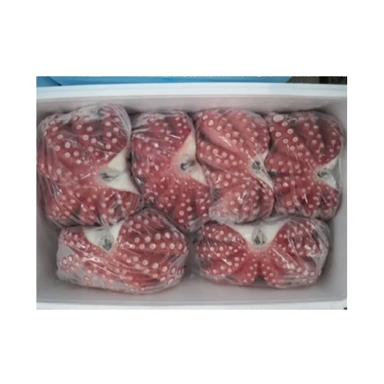 TAKO 10kg frozen octopus 10kg market frozen seafood from Japan