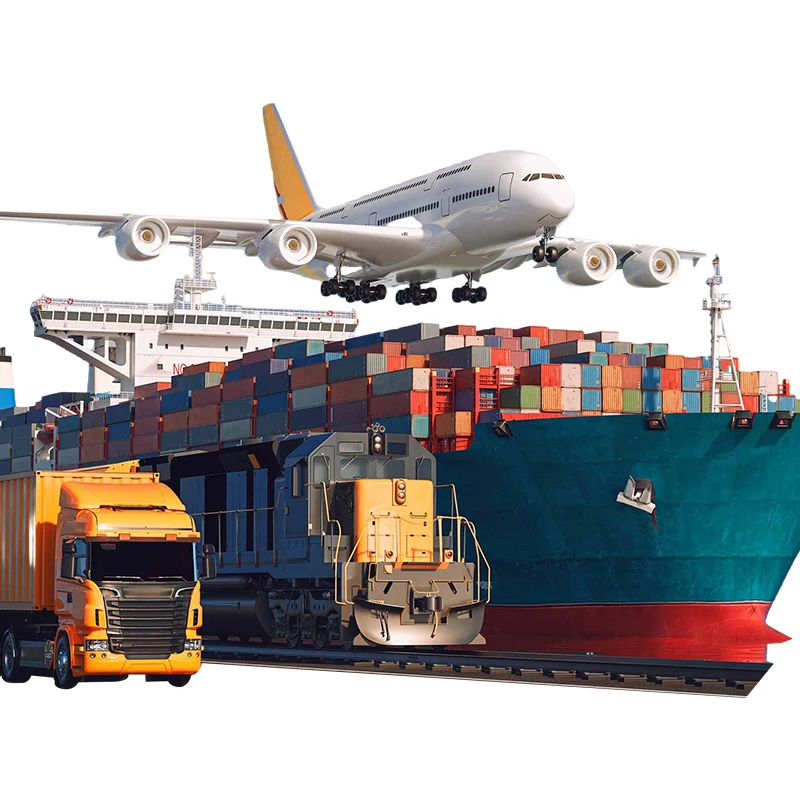 Swwls Cheaper Shipping Agent Provide FCL Sea shipping With Door To Door Shipping Service To Netherlands