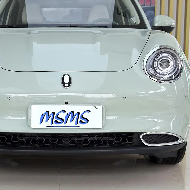 New 2022 Small New Energy Vehicle Hot Selling Chinese Euler Good Cat 401km Standard Endurance Type Mini Electric Used Car