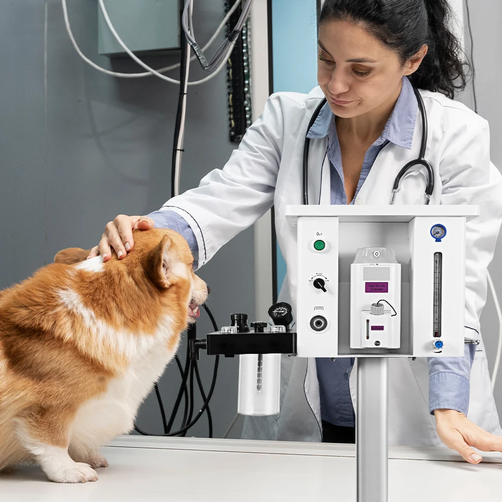 Медицинское Оборудование для анестезии больница Pet клиника портативный ветеринарный аппарат