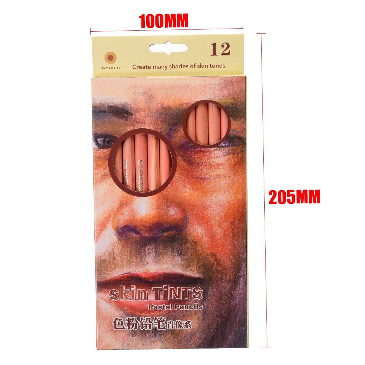 12 Colored Soft Pastel Pencil Skin Tints Color Pencils for Artist Sketch Drawing  Wooden Color Pencil Set for Art Stationery