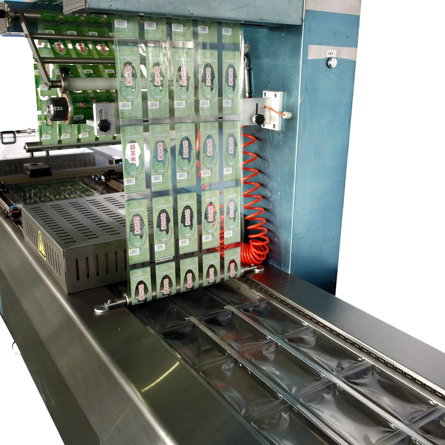 BV CE verified Supplier frozen seafood tilapia Tuna Salmon fish fillet processing automatic vacuum Packing Machine