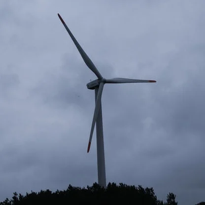 Hot sale 10kw wind turbine wind power price 10000 watt wind generator