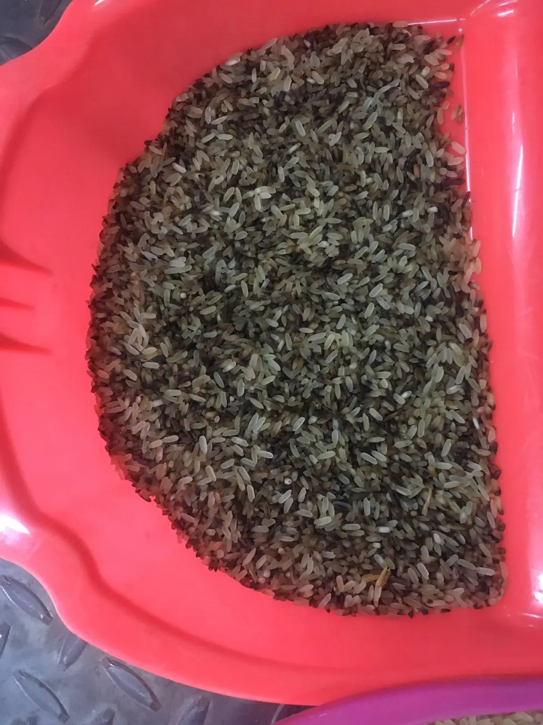 Нигерийская мини-сортировочная машина для риса