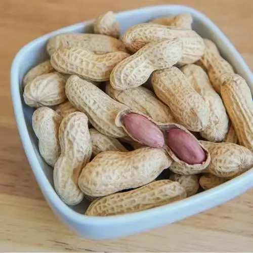 Factory Directly Wholesale Dried Roasted Peanuts/Groundnut in Shell Cheap Price Snack Use Peanut