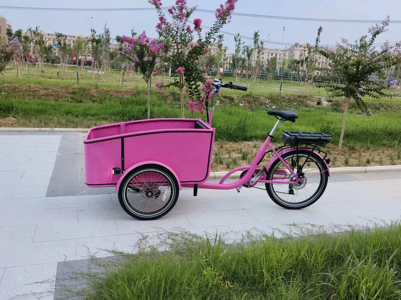 2 front wheels trikes Motorized E bike Electric assist Cargo Trike Electric Cargo Tricycle for sale
