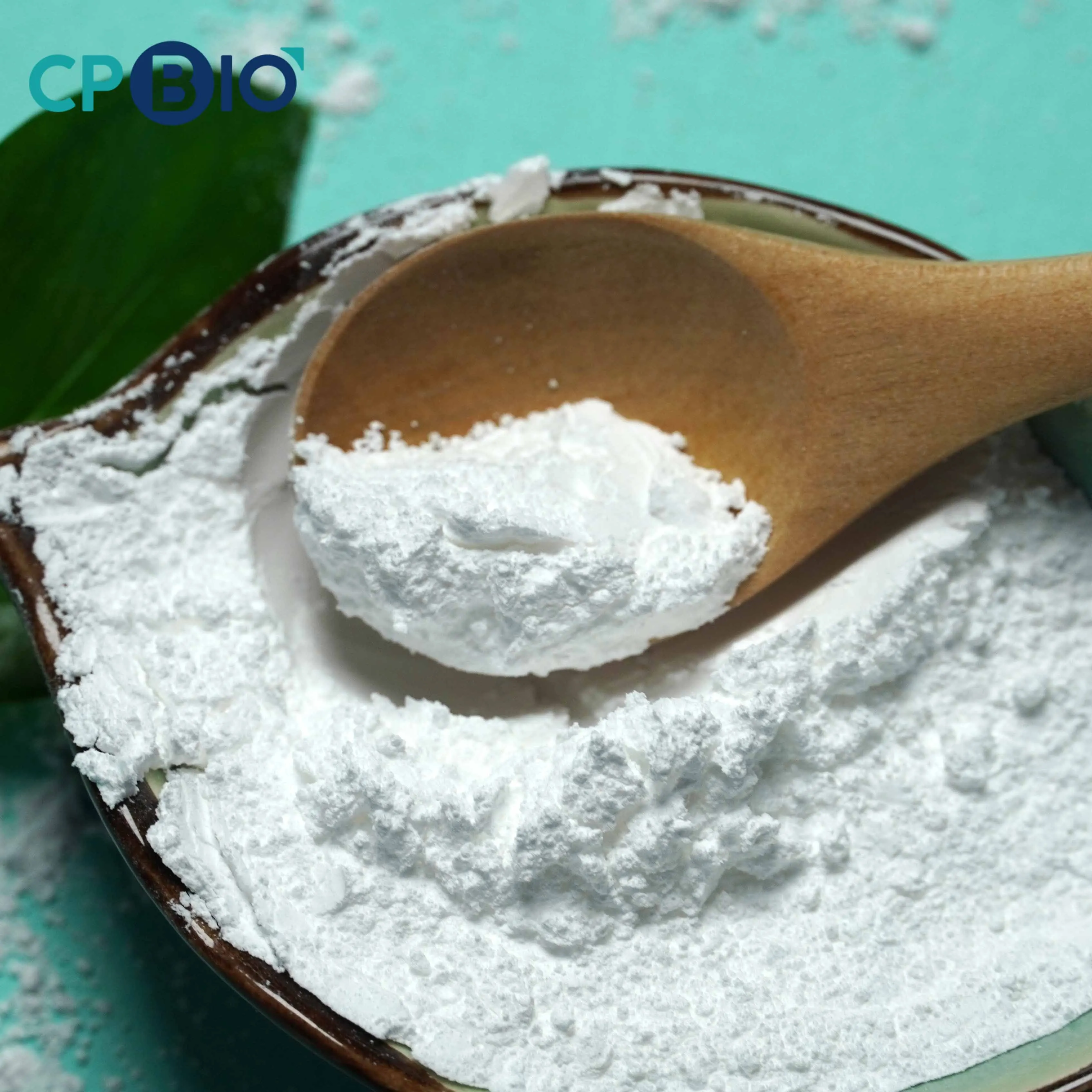 preservatives food Grade food additives sodium benzoate in food processing