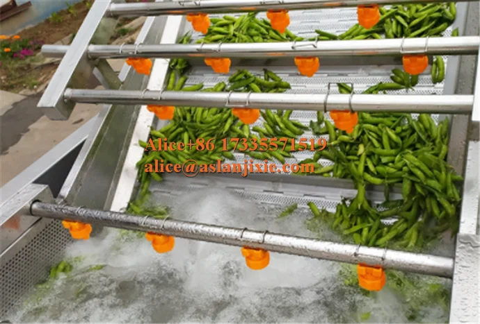 Edamame pea carob air bubble ozone washing machine/high pressure water sprayer vegetable cleaner
