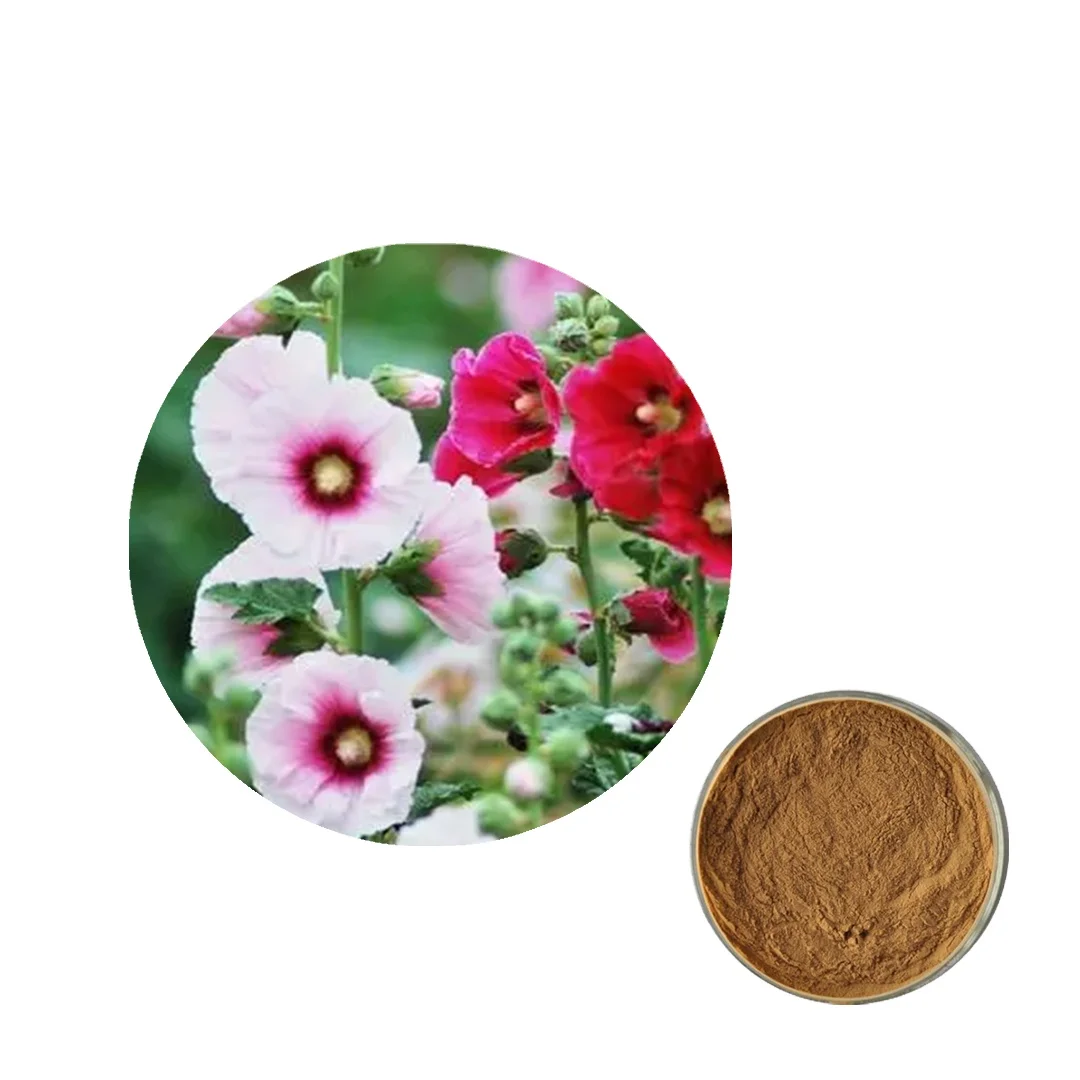 Hot Selling Marshmallow Powder Marshmallow Extract Powder