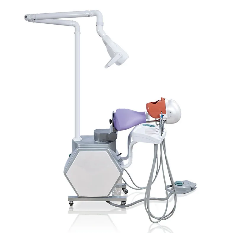 China factory dental manikin electric jga11 dental simulation
