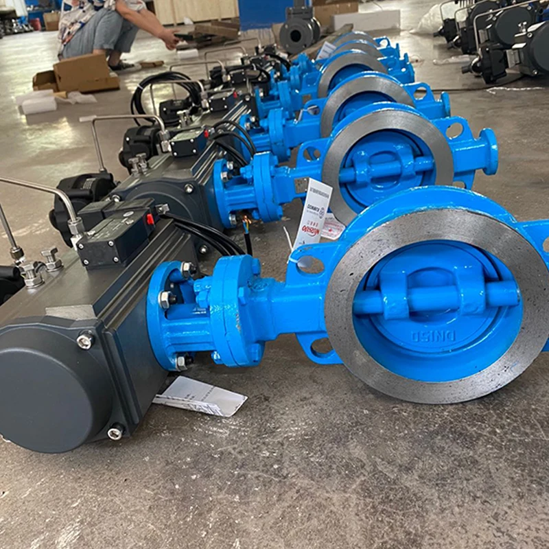 Double Eccentric Butterfly Valve Large Diameter Ductile Iron Double Offset Butterfly Valve
