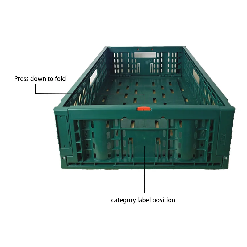 Large plastic food and meat crates plastic crates hard customized plastic crates factory