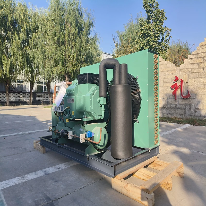 Cold Room Supermarket Warehouse Commercial Bitzer Compressor Condensing Unit for freezer room
