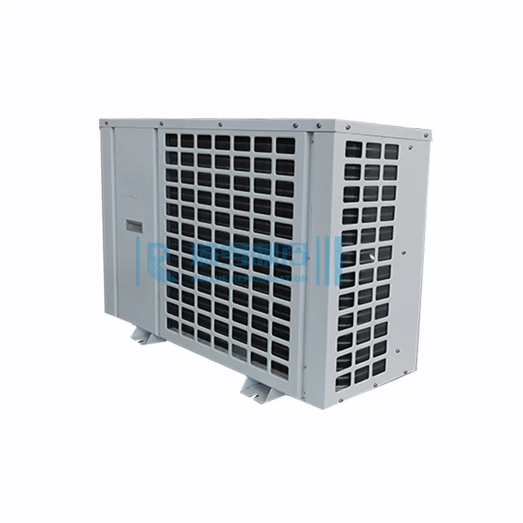 RUIXUE Condensing Unit For Cold Room Mini Air-cooled Refrigeration Condensing Unit RX-FNL-02MH