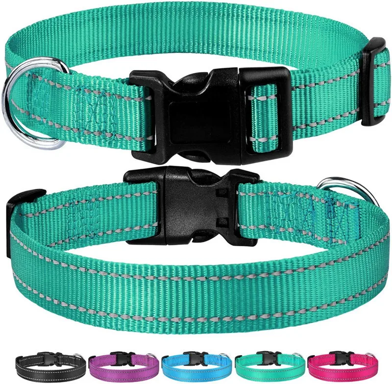 dog collar (7)