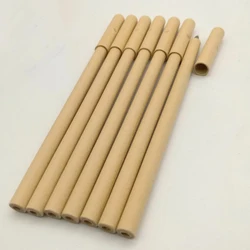 Customized Logo Printed Recycle Paper Promotional Ball Pen Eco-friendly OEM Ballpoint Pen Snowman Water Globe Pen