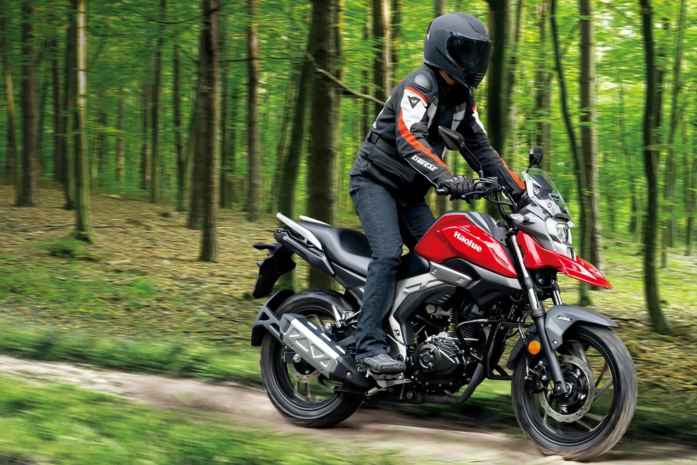 Haojue High-speed Motorcycle DL150CC Single Cylinder Air-cooled Rally Car Travel Gasoline Driven Multiple Colors 100-200CC