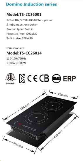 Built in Domino Electric Kitchen Appliance Dual Burner Two Cooking Zone Induction Hob Cooker Cookstove Cooktop