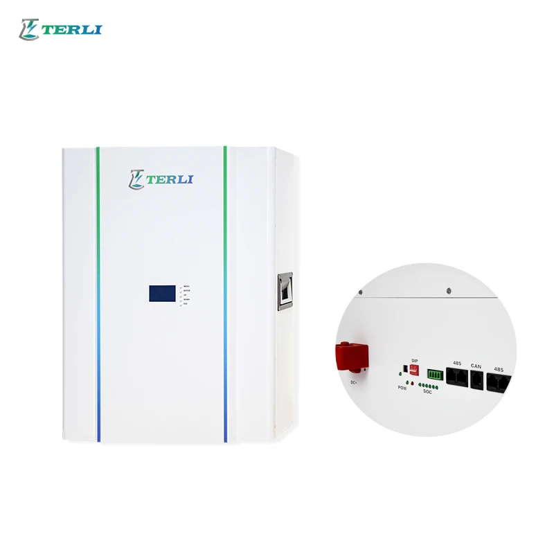 Terli Powerwall 48V 5Kwh 10Kwh Batterie Fotovoltaico Agli Ioni Di Litio Lifepo4 Energy Storage Lithium Ion Batteries
