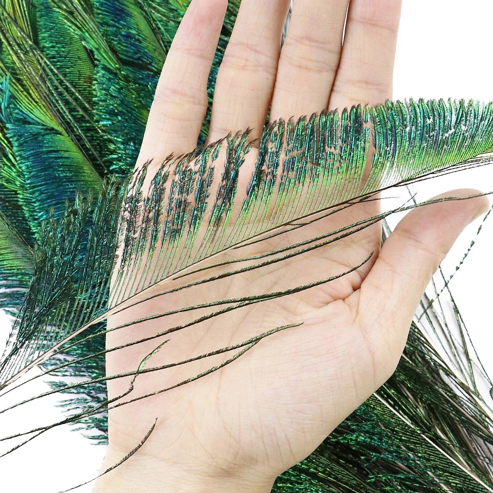 Indian Wholesale Natural Peacock Sword Peacock Feathers For Sale Cheap