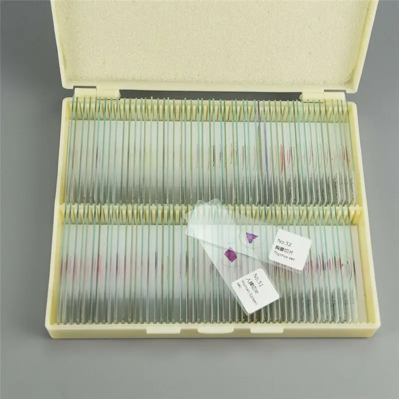 Prepared Microscope Slides Box with Blood Specimen