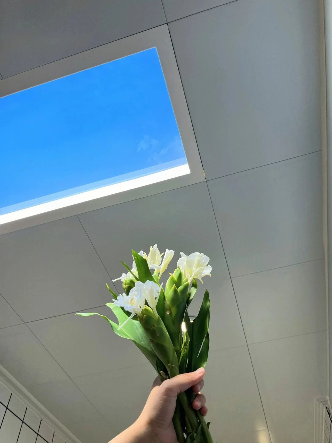 artificial sky light dimmable 2700k to 10000k blue sky light 60W smart control panel skylight 5year warranty 3060cm