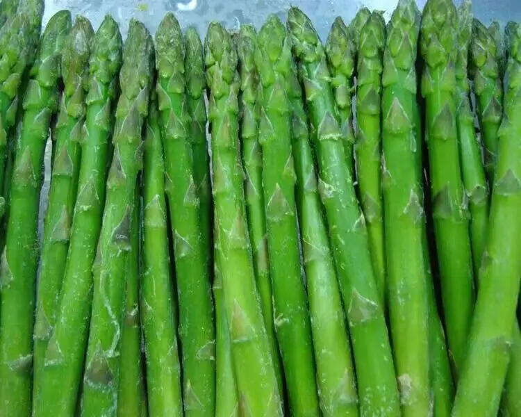 IQF Frozen Green Asparagus Price
