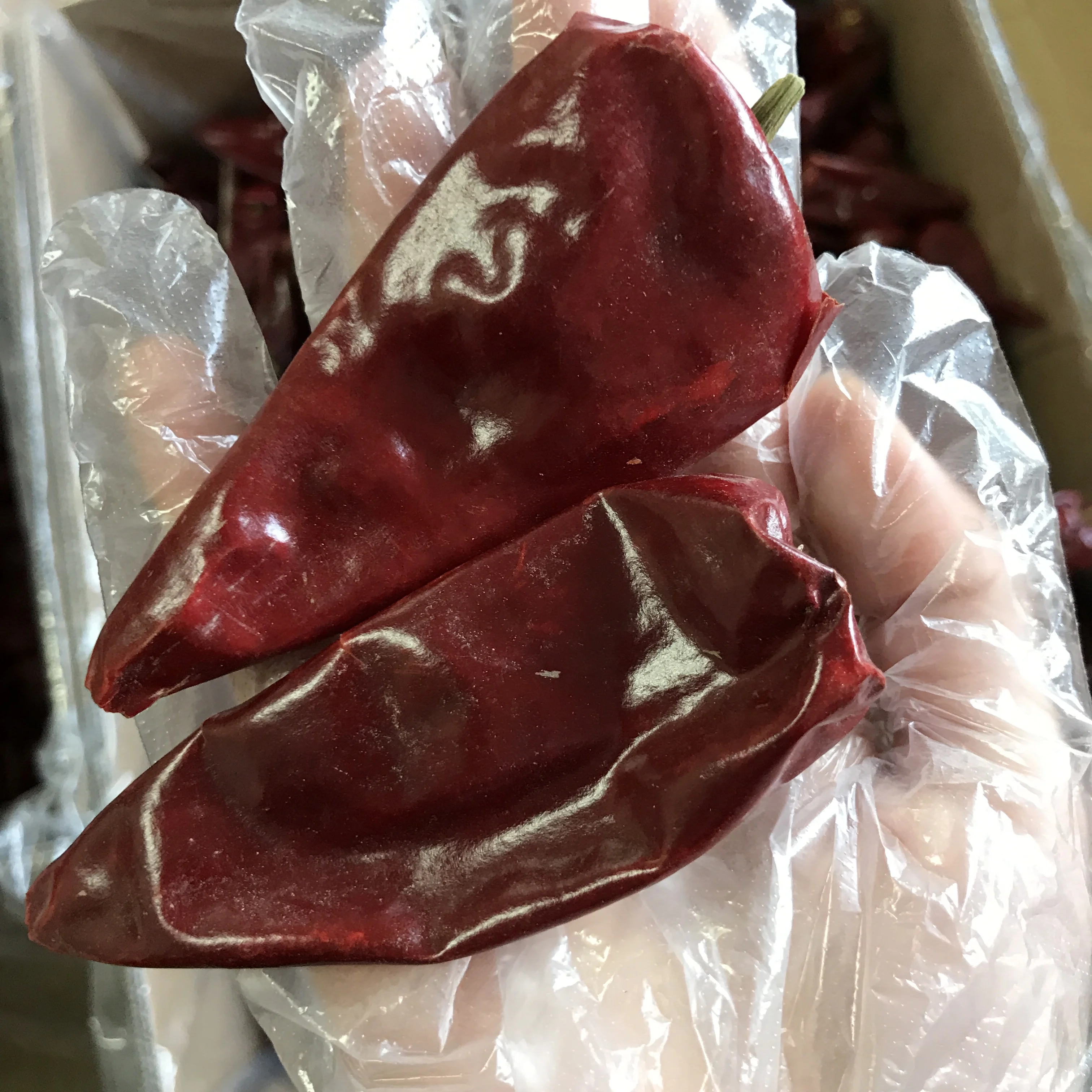 LJ004 Premium Quality Whole Yidu Red Chili Pepper Dried Chinese Light spicy Red Paprika Pepper