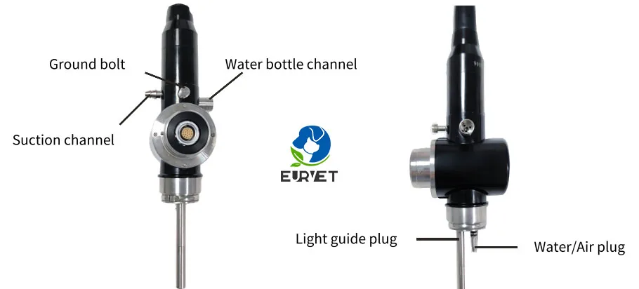 EUR PET Best Quality Camara Endoscopio Veterinary Driver Usb Camara Endoscopio Veterinary EquipmentFor Big Clinic