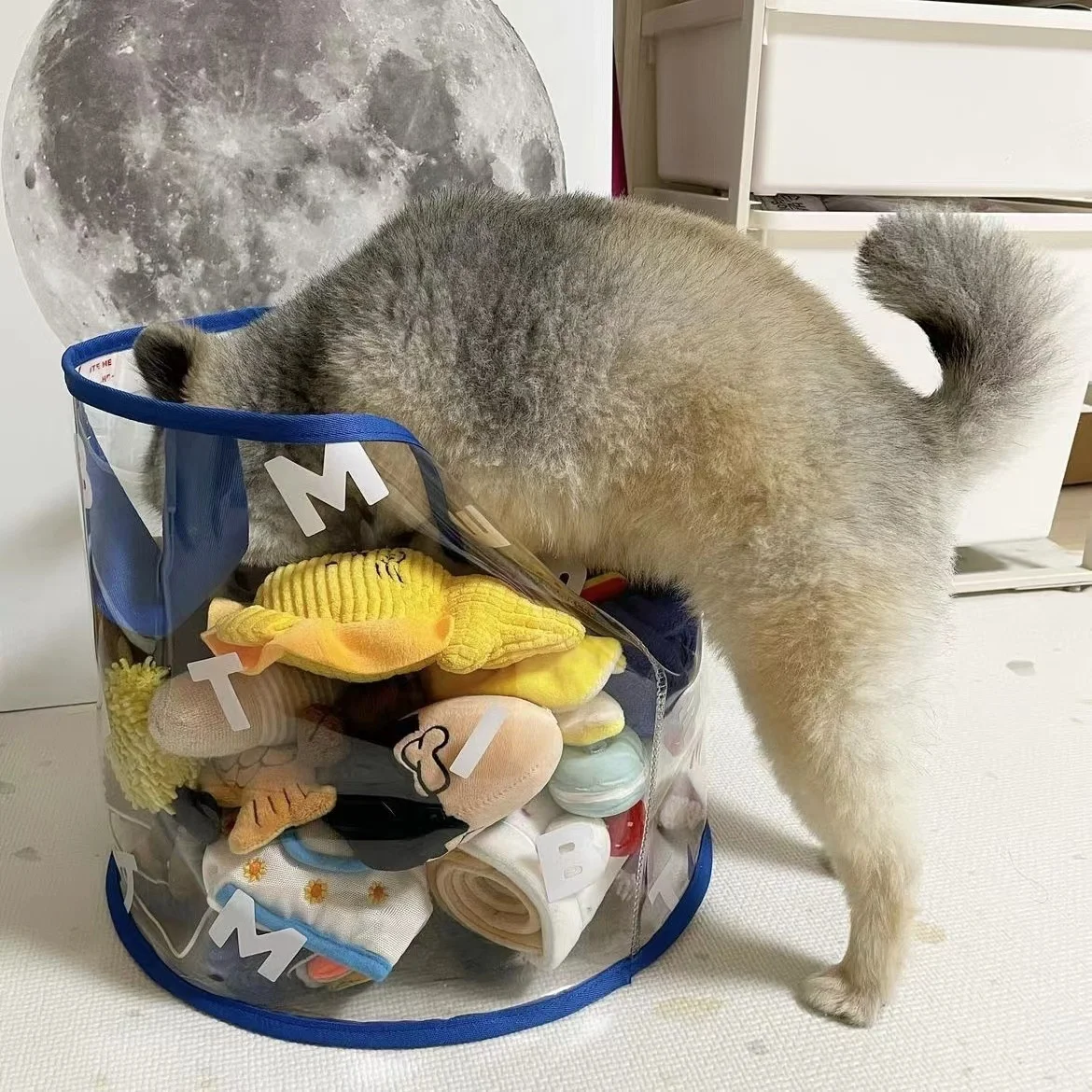 Wholesale New Design Household Items Toy Boxes Basket Storage Basket Collapsible For Cloths Laundry Bags & Baskets