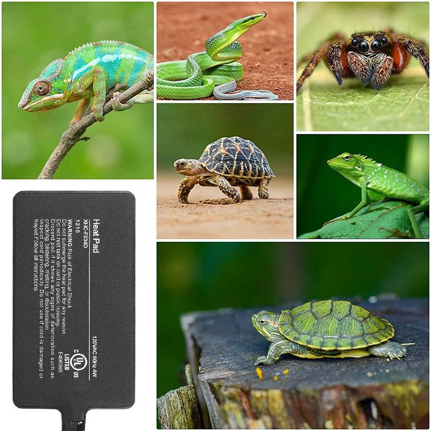 Fashion Hot Selling Thermostat Heat Mat Heater Terrarium Large Reptile Heating Pad Tank Warmer For Fish